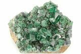 Fluorescent Green Fluorite w/ Galena - Diana Maria Mine, England #208882-3